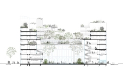 20180000_113E_Sophie_Delhay_Architecte_projet-non-retenu_LoConf1_coupe-4