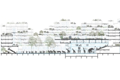 20180000_153E_Sophie_Delhay_Architecte_projet-non-retenu_LoConf_coupe-1